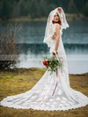 Tulle Trumpet/Mermaid V-neck Court Train Appliques Lace Wedding Dresses #DOB00023726